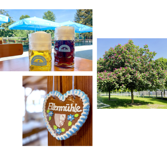 Bier, Lebkuchen und Kastanienbäume im Biergarten Ellermühle